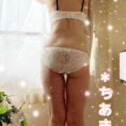 ヒメ日記 2026/05/12 09:52 投稿 石高千晶 五十路マダム愛されたい熟女たち 福山店(カサブランカグループ)