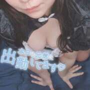 ヒメ日記 2026/02/15 17:38 投稿 せしる 八尾藤井寺羽曳野ちゃんこ