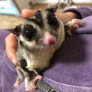 ヒメ日記 2026/04/11 10:05 投稿 水玉しずく 素人専門キラキラ学園