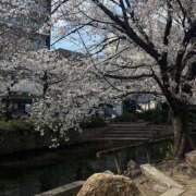 ヒメ日記 2026/04/11 15:15 投稿 高橋さな 素人専門キラキラ学園