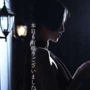 ヒメ日記 2026/02/07 00:45 投稿 ROBIN【ロビン】 BLENDA V.I.P東京店