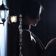 ヒメ日記 2026/03/13 00:00 投稿 ROBIN【ロビン】 BLENDA V.I.P東京店