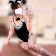 きらら ご注文は…？🐰♥️ 新宿クリスタル