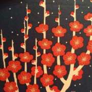 ヒメ日記 2026/01/17 10:15 投稿 吉原未知留 プレジデントハウス