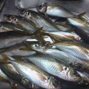 ヒメ日記 2026/03/21 12:04 投稿 吉原未知留 プレジデントハウス