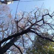 ヒメ日記 2026/03/26 16:01 投稿 吉原未知留 プレジデントハウス