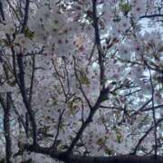 ヒメ日記 2026/04/03 22:02 投稿 吉原未知留 プレジデントハウス