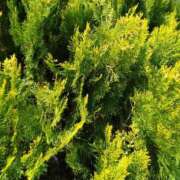 ヒメ日記 2026/04/13 17:51 投稿 吉原未知留 プレジデントハウス