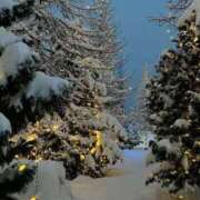 ヒメ日記 2026/01/16 16:58 投稿 新人・日向(ひなた) グランドオペラ福岡