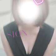 ヒメ日記 2026/03/15 22:06 投稿 紫音 昼顔妻 五反田店