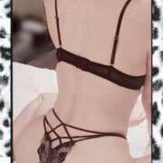 ヒメ日記 2026/04/28 20:06 投稿 紫音 昼顔妻 五反田店