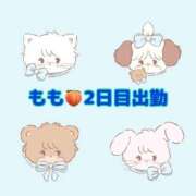 ヒメ日記 2026/01/17 05:21 投稿 もも「人妻」 奥様アテンド小山店