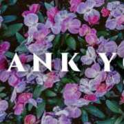 ヒメ日記 2026/01/31 05:54 投稿 凛/りん 五反田アネージュ（ユメオト）