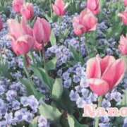 ヒメ日記 2026/02/07 15:19 投稿 奥村 なのは 東京貴楼館