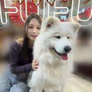 ヒメ日記 2026/03/02 16:08 投稿 まお★S級容姿端麗×女子アナ系 Bell～S級美女お姉様・人妻デリヘル～