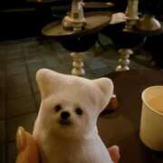 ヒメ日記 2026/03/08 18:09 投稿 まお★S級容姿端麗×女子アナ系 Bell～S級美女お姉様・人妻デリヘル～