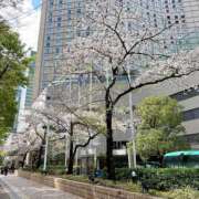 ヒメ日記 2026/04/04 18:59 投稿 まお★S級容姿端麗×女子アナ系 Bell～S級美女お姉様・人妻デリヘル～