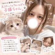 ヒメ日記 2026/09/25 12:13 投稿 まお★S級容姿端麗×女子アナ系 Bell～S級美女お姉様・人妻デリヘル～