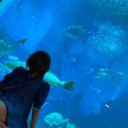 ヒメ日記 2026/01/19 13:29 投稿 ライカ【秘めた色香】 ドＭなバニーちゃん小倉店