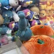 ヒメ日記 2026/02/10 17:53 投稿 あやん ルーフ大阪