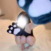 ヒメ日記 2026/03/05 15:16 投稿 ひな The White