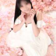 ヒメ日記 2026/04/19 05:45 投稿 ひな The White