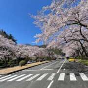 ヒメ日記 2026/04/08 14:46 投稿 みおり☆寄り添い甘々お姉さん ぽちゃぶらんか甲府店(カサブランカグループ)