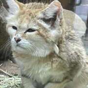 ヒメ日記 2026/01/15 20:58 投稿 のえる 静岡♂風俗の神様 静岡店