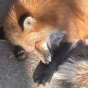 ヒメ日記 2026/02/21 06:08 投稿 のえる 静岡♂風俗の神様 静岡店