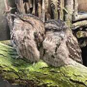 ヒメ日記 2026/02/22 06:18 投稿 のえる 静岡♂風俗の神様 静岡店