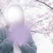 ヒメ日記 2026/04/03 17:42 投稿 維乃(いの) PLUS梅田店