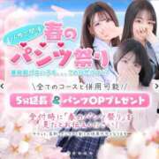 ヒメ日記 2026/04/06 00:43 投稿 まや 学園collection