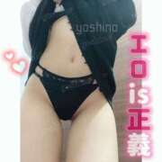 ヒメ日記 2026/02/10 20:24 投稿 よしの ロイヤル土佐