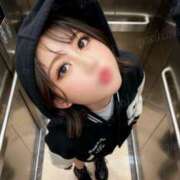 ヒメ日記 2026/02/12 09:08 投稿 よしの ロイヤル土佐