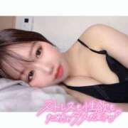 ヒメ日記 2026/02/16 09:08 投稿 よしの ロイヤル土佐