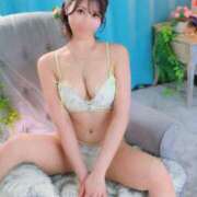 ヒメ日記 2026/02/16 12:08 投稿 よしの ロイヤル土佐