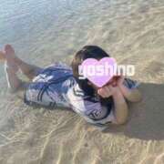 ヒメ日記 2026/02/16 15:08 投稿 よしの ロイヤル土佐