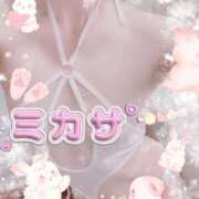 ヒメ日記 2026/01/27 08:33 投稿 新人ミカサ Celeb Garden(セレブガーデン)