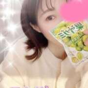 ヒメ日記 2026/02/04 10:33 投稿 新人ミカサ Celeb Garden(セレブガーデン)