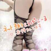 ヒメ日記 2026/02/09 07:27 投稿 新人ミカサ Celeb Garden(セレブガーデン)