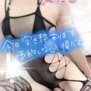 ヒメ日記 2026/02/19 07:27 投稿 新人ミカサ Celeb Garden(セレブガーデン)