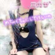 ヒメ日記 2026/02/24 07:18 投稿 新人ミカサ Celeb Garden(セレブガーデン)