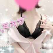 ヒメ日記 2026/03/11 16:48 投稿 新人ミカサ Celeb Garden(セレブガーデン)