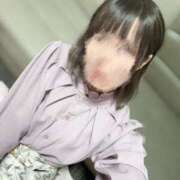 ヒメ日記 2026/05/25 08:00 投稿 すい 涼泉（りょうせん）