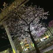 ヒメ日記 2026/03/31 01:44 投稿 ゆめな club Ego