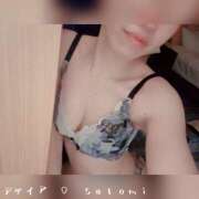 さとみ奥様 今日こそは… デザイア日本橋