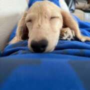 ヒメ日記 2026/01/17 17:10 投稿 れい 町田ギャルの宅急便