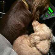 ヒメ日記 2026/01/19 20:23 投稿 れい 町田ギャルの宅急便