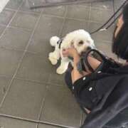 ヒメ日記 2026/01/21 21:20 投稿 れい 町田ギャルの宅急便