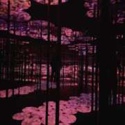 ヒメ日記 2026/02/20 19:05 投稿 れい 町田ギャルの宅急便